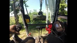 Takeuchi TB290 doing some tree work [upl. by Emersen]