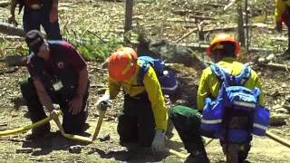 Firefighting Training amp Intro to Wildland Fire Behavior [upl. by Prober]