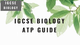 IGCSE Biology  Alternative To Practical Guide [upl. by Ambur571]