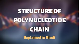 STRUCTURE OF POLYNUCLEOTIDE CHAIN  class 12 polynucleotide chain [upl. by Nirhtak]