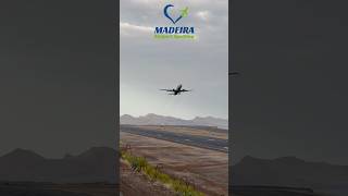 Beautiful Transavia takeoff at Madeira Airport [upl. by Annahsirhc846]