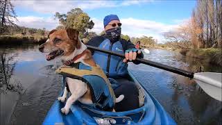 Kayaking Brownes Trip 813 27 6 24 [upl. by Eirb]