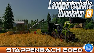 LS19  Stappenbach 51 Courseplayhelfer sind aktiv  Landwirtschafts Simulator 2019  Lets Play [upl. by Uttasta758]