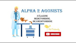 Alpha 2 Agonists  Xylazine Dexmedetomidine  Anesthesia  Part10  BCSE viral subscribe trending [upl. by Yul]