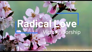 Radical Love Karaoke Female Key [upl. by Nikolos]