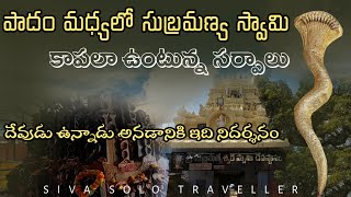 Kothuru subbarayudu Kothuru Subramanya swamy Temple history [upl. by Jon]