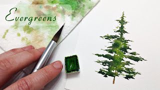 EASY brushstrokes for REALISTIC pine trees » how to paint watercolor evergreens for beginners [upl. by Huppert]