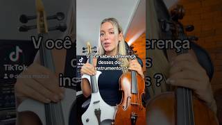 Diferença entre violino acústico e elétrico violino instrumentomusical violinoeletrico [upl. by Leblanc342]