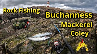 Rock Fishing Buchanness Aberdeenshire North East Scotland Mackerel amp Coley [upl. by Nwahsor259]