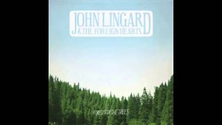 Forest For The Trees  John Lingard amp The Foreign Hearts [upl. by Meensat]