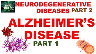 NEURODEGENERATIVE DISEASES PART 2 ALZHEIMER DISEASEPATHOGENESIS [upl. by Augustus533]