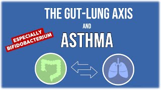 Gut  Lung Axis  Which Bacteria is Important to Your Lung [upl. by Kcyred]