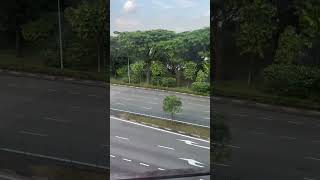 khatib to yio chu kang  mrt  SG  train  lower seletar reservoir  water  view  window  รถไฟ [upl. by Assirak]