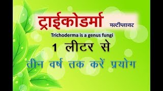 Trichoderma fungi liquid  ट्राइकोडर्मा तरल के 1 लीटर से तीन साल तक करे प्रयोग [upl. by Coray]