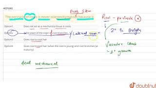 The pericycle of roots is never sclerenchymatous because it [upl. by Ennovoj]