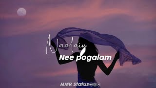 Tamil Whatsapp Status  Love Songs New  Love Whatsapp Status Tamil  female version status tamil [upl. by Einnod748]