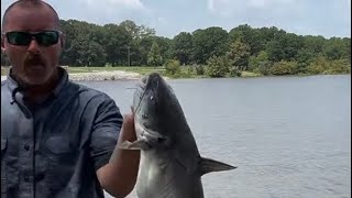 Catfishing Sardis Lake greenjeans showed up [upl. by Adnovahs]