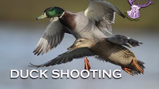 DUCK SHOOTING [upl. by Segal546]