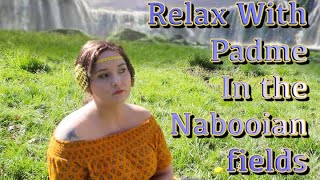 Relax With Padme In the Nabooian fields 🌼ASMR RP🌼Star Wars Week [upl. by Fulcher568]