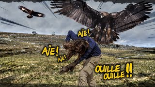 ĆTRE ATTAQUĆ‰ par un AIGLE ROYAL  Ć‡A FAIT QUOI [upl. by Anavlys]