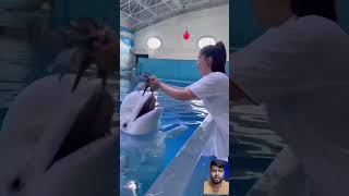 smart dolphin 😍। double tap you love this video 🤗 short part 9 shorts jahid  funny [upl. by Christoforo953]