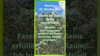 20241028 Seelenbotschaf  Tagesmantra  Pappel treefluencer körperseelegeist merikinbynature [upl. by Amhser]