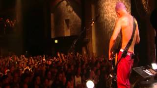 Red Hot Chili Peppers  Look Around  Live in Köln 2011 HD [upl. by Erkan469]