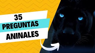 35 preguntas del reino animal✨ [upl. by Ihtak]