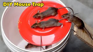 DIY Humane MouseRat Trap Bucket  Homemade Rat Trap Easy and Effective [upl. by Namruht]