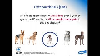 Start the Movement a Progressive Canine Osteoarthritis Staging Tool [upl. by Creight774]