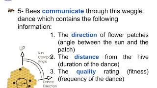 The Bees algorithm and its application [upl. by Leuamme830]