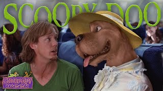 ScoobyDoo Live Action  Review ScoobyDoo Week [upl. by Jopa]