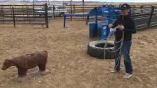 Breakaway Roping Tips by Tufkaf  Benefits of using a tire to stand in while roping the GTS dummy [upl. by Thetes]