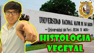 BIOLOGÍA FREE   HISTOLOGIA VEGETAL 💚🌿🍃 [upl. by Serafine]