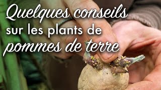 Plants et variétés de pomme de terre  comment choisir [upl. by Arhez248]