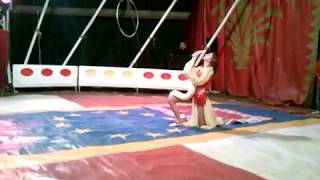 CIRCUS SHOW WHITE PITON SNAKE [upl. by Ailasor]