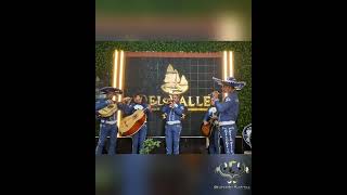 Cien años Canta Gerson Moronta con Mariachi CatrinaS de Douglas Flores [upl. by Essila]