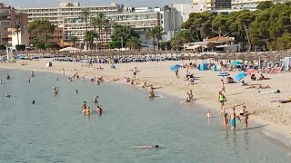 Beach for bathing dogs  Palmanova Palma de Mallorca [upl. by Lipps]