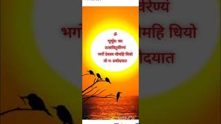 Gayatri mantra ytshortsindia bhajansshorts [upl. by Bodnar]