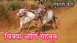 तुफानी फेरा 🔥  👑 चिक्या 4x4 आणि मेहबूब 3006 👑  chikya mehboob 3006 [upl. by Pine]