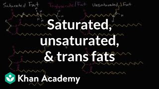 Saturated fats unsaturated fats and trans fats  Biology  Khan Academy [upl. by Maletta]