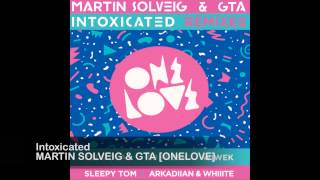 Martin Solveig amp GTA  Intoxicated [upl. by Avot]