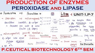 Production of enzymes  Peroxidase And Lipase Production Pharmaceutical Biotechnology  u1 Part7 [upl. by Peskoff]