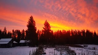 Vor dem Winter in Schweden Lappland🇸🇪Before winter in Lapland Sweden 🌞 [upl. by Ymmat]