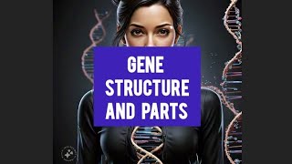 Simple Explanation🧬 Gene General StructureTranscription amp its Parts biology genetics csirnet 🧬 [upl. by Eadwina]