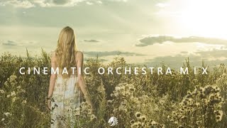 Admire the Lndscape of Ones Life Ahead From the Grassland  Cinematic Orchestra Mix [upl. by Adyol]