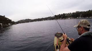 Port Hacking River November 2018  Zipbaits Skinny POP JR wwwfishincomau [upl. by Eetsirhc305]