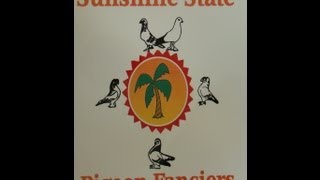 Sunshine State Pigeon Fanciers 2012 Show [upl. by Sofer]