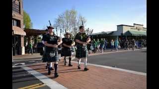 Arroyo Grande California Finnegans Wake Parade 2014 [upl. by Ettenauq504]