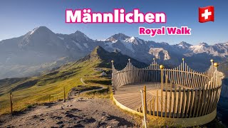 📍Männlichen Grindelwald 🏔️🇨🇭 Swiss Mountain Royal Walk  Jungfrauregion [upl. by Daney]